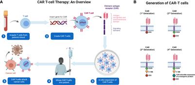 CAR T-Cell-Based gene therapy for cancers: new perspectives, challenges, and clinical developments